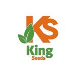 KING SEEDS PARA WEB
